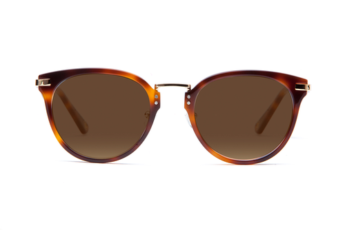 Vecchio - Havana Sunglasses